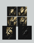Fragments Vol.II